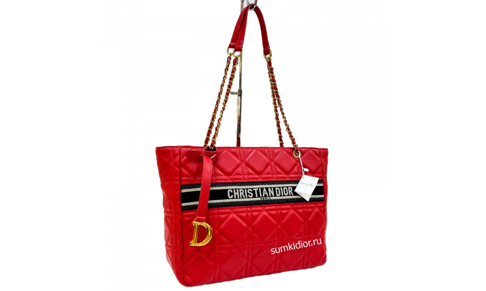 Christian dior shopping bags best sale